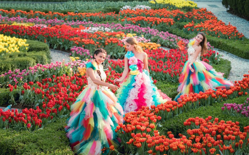 Thanh xuân có hạn, chờ chi mà không đến cánh đồng hoa tulip lớn nhất Việt Nam - Ảnh 1. Thanh xuân có hạn, chờ chi mà không đến cánh đồng hoa tulip lớn nhất Việt Nam - Ảnh 1.
