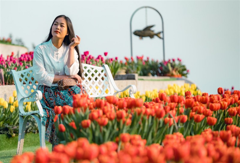 Thanh xuân có hạn, chờ chi mà không đến cánh đồng hoa tulip lớn nhất Việt Nam - Ảnh 5. Thanh xuân có hạn, chờ chi mà không đến cánh đồng hoa tulip lớn nhất Việt Nam - Ảnh 5.