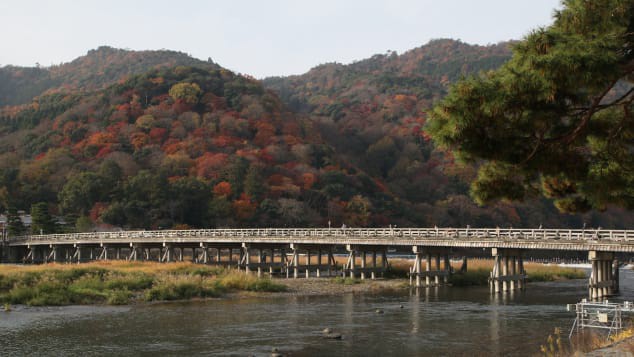 Vượt COVID-19, Kyoto kích cầu bằng chiến dịch du lịch vắng - Ảnh 3. Vượt COVID-19, Kyoto kích cầu bằng chiến dịch du lịch vắng - Ảnh 3.