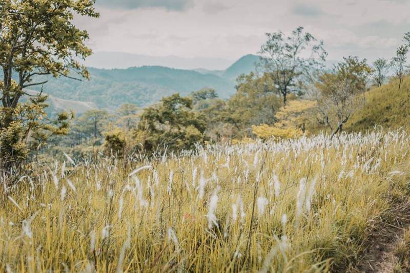 Cung trek dai ngan Ta Nang - Phan Dung dep nhat Viet Nam hinh anh 15 