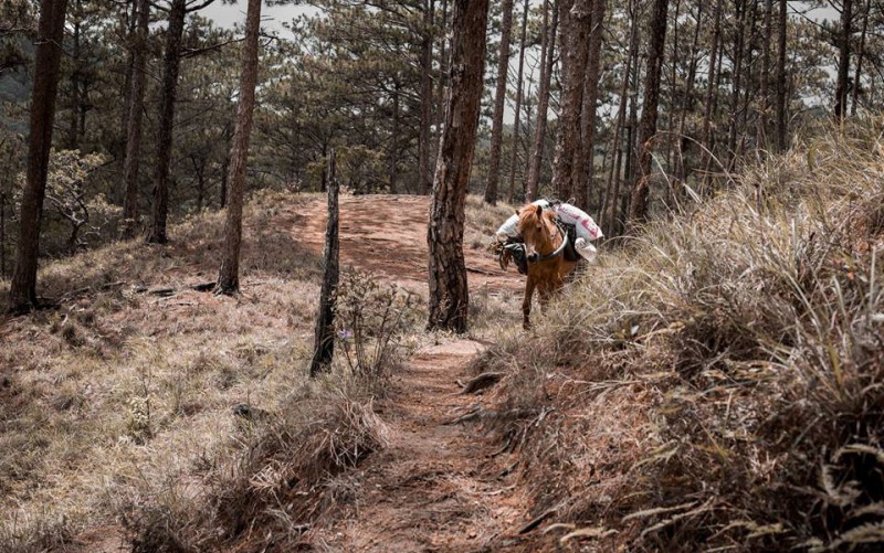 Cung trek dai ngan Ta Nang - Phan Dung dep nhat Viet Nam hinh anh 5 