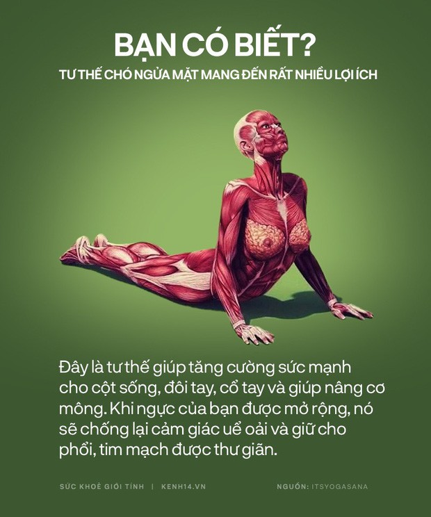 Bạn có biết: 10 tư thế yoga đơn giản sau đây đều có tác dụng rất tốt cho sức khoẻ và tinh thần - Ảnh 3. Bạn có biết: 10 tư thế yoga đơn giản sau đây đều có tác dụng rất tốt cho sức khoẻ và tinh thần - Ảnh 3.