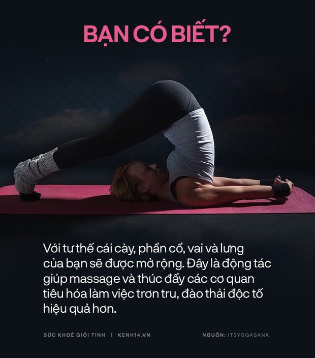 Bạn có biết: 10 tư thế yoga đơn giản sau đây đều có tác dụng rất tốt cho sức khoẻ và tinh thần - Ảnh 4. Bạn có biết: 10 tư thế yoga đơn giản sau đây đều có tác dụng rất tốt cho sức khoẻ và tinh thần - Ảnh 4.