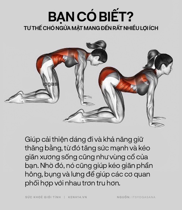 Bạn có biết: 10 tư thế yoga đơn giản sau đây đều có tác dụng rất tốt cho sức khoẻ và tinh thần - Ảnh 6. Bạn có biết: 10 tư thế yoga đơn giản sau đây đều có tác dụng rất tốt cho sức khoẻ và tinh thần - Ảnh 6.