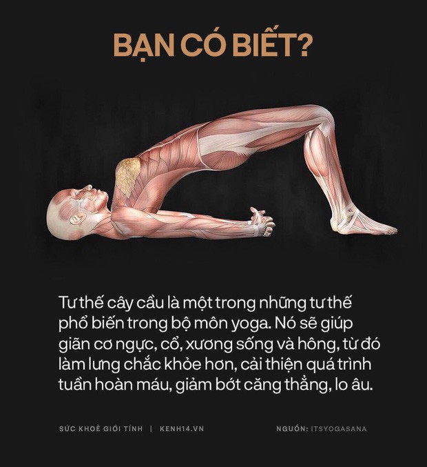 Bạn có biết: 10 tư thế yoga đơn giản sau đây đều có tác dụng rất tốt cho sức khoẻ và tinh thần - Ảnh 9. Bạn có biết: 10 tư thế yoga đơn giản sau đây đều có tác dụng rất tốt cho sức khoẻ và tinh thần - Ảnh 9.
