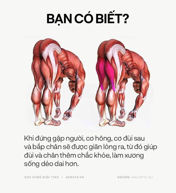 Bạn có biết: 10 tư thế yoga đơn giản sau đây đều có tác dụng rất tốt cho sức khoẻ và tinh thần - Ảnh 10. Bạn có biết: 10 tư thế yoga đơn giản sau đây đều có tác dụng rất tốt cho sức khoẻ và tinh thần - Ảnh 10.