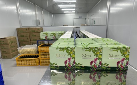 Công ty TNHH SX Catchy Natural Cosmetic đạt thương hiệu Top 10 thương hiệu nhãn hiệu uy tín ba miền 2020