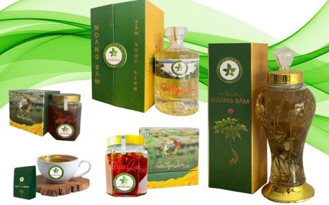 Chặng đường tìm lại Quốc Bảo Việt Nam Sâm Ngọc Linh và Thương hiệu Sâm Ngọc Linh “NOÀNG SÂM”