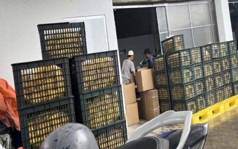 Công Ty TNHH Tâm Sen 2 – Kiến tạo giá trị từ tâm, lan tỏa niềm tin từ tầm
