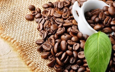 Giá cà phê hôm nay 14/10: Giảm trung bình 100-200 đồng/kg, thế giới diễn biến trái chiều