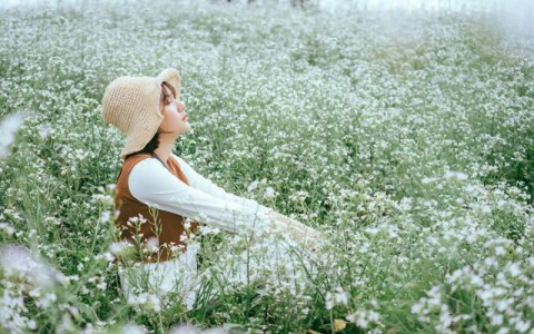 Những loài hoa nở vào mùa đông đẹp nhất Việt Nam