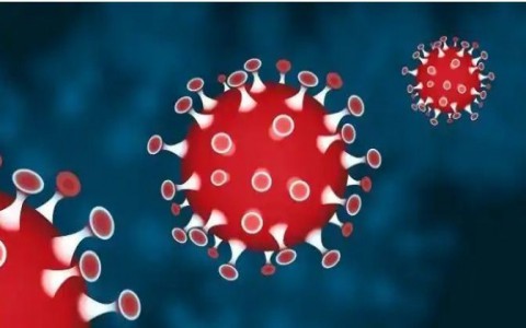 Virus Covid-19 có thể tồn tại trong thời gian bao lâu trong các môi trường khác nhau?