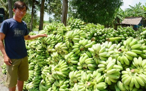 Giá thực phẩm ngày 23/12