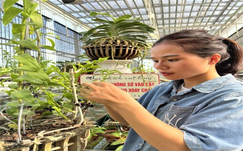 Trải lòng của cô giáo Tạ Thị Quyên về triển vọng ngành hoa lan sau đại dịch COVID19