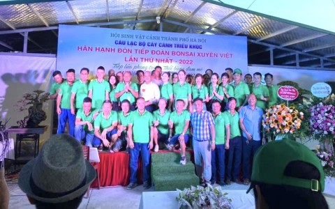 Hành trình Bonsai xuyên Việt