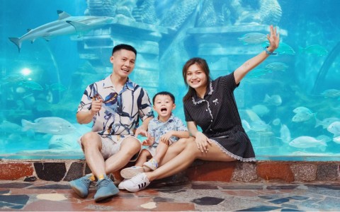 Lễ hội “Khu vườn trên mây” tại Công viên Thiên đường Bảo Sơn dịp Tết Ất Tỵ 2025