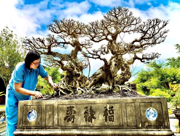 Hà Nội: Tổ chức Festival Sinh Vật Cảnh Hà Nội lần thứ nhất từ ngày 02-18/9/2024