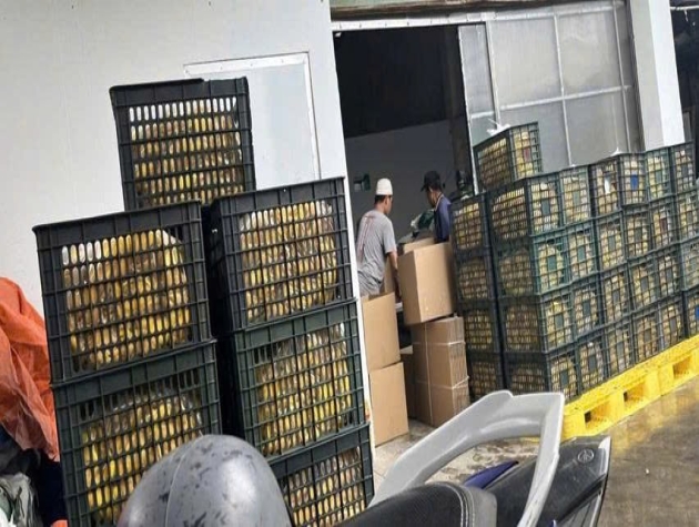 Công Ty TNHH Tâm Sen 2 – Kiến tạo giá trị từ tâm, lan tỏa niềm tin từ tầm