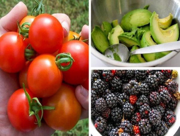 Cá hồi, nước hầm xương - thực phẩm giàu collagen giúp làm chậm quá trình lão hóa