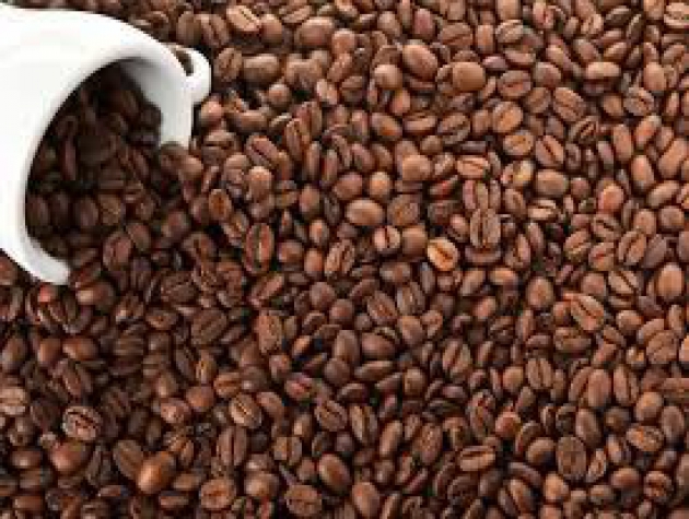 Giá cà phê hôm nay 30/11: Giữ ổn định ở mốc 33 triệu đồng/tấn