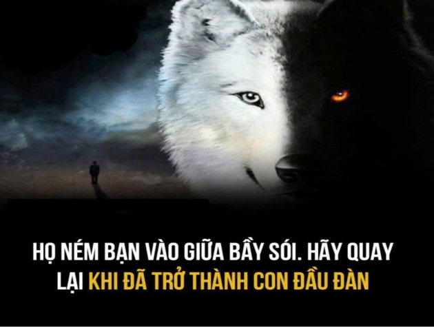 Tư duy không bao giờ bỏ cuộc